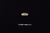 藏品(陶把)的圖片